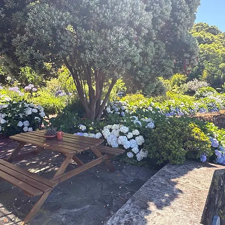 Casa Da Terra Alta *